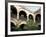 Balcony with Flowers and Trees, Puerto Rico-Greg Johnston-Framed Photographic Print