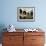 Balcony with Flowers and Trees, Puerto Rico-Greg Johnston-Framed Photographic Print displayed on a wall