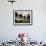 Balcony with Flowers and Trees, Puerto Rico-Greg Johnston-Framed Photographic Print displayed on a wall