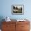 Balcony with Flowers and Trees, Puerto Rico-Greg Johnston-Framed Photographic Print displayed on a wall