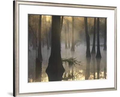 grove pointe frame & art