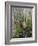 Bald Cypress Swamp in the Corkscrew Swamp Sanctuary Near Naples, Florida, USA-Fraser Hall-Framed Photographic Print