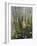 Bald Cypress Swamp in the Corkscrew Swamp Sanctuary Near Naples, Florida, USA-Fraser Hall-Framed Photographic Print