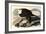 Bald Eagle, 1828-John James Audubon-Framed Giclee Print