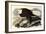 Bald Eagle, 1828-John James Audubon-Framed Giclee Print