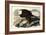 Bald Eagle, 1828-John James Audubon-Framed Giclee Print