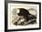 Bald Eagle, 1828-John James Audubon-Framed Giclee Print