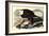 Bald Eagle, 1828-John James Audubon-Framed Giclee Print