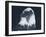 Bald Eagle 2-Gordon Semmens-Framed Photographic Print