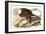 Bald Eagle 2-John James Audubon-Framed Art Print