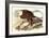 Bald Eagle 2-John James Audubon-Framed Premium Giclee Print