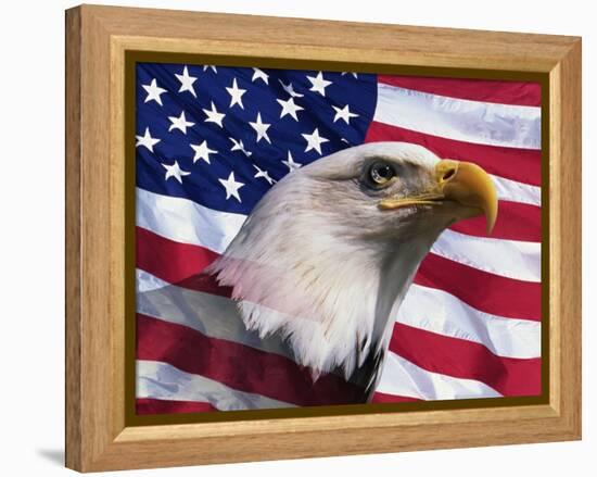 Bald Eagle and American Flag-Joseph Sohm-Framed Premier Image Canvas