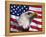 Bald Eagle and American Flag-Joseph Sohm-Framed Premier Image Canvas