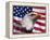 Bald Eagle and American Flag-Joseph Sohm-Framed Premier Image Canvas