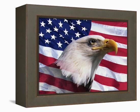 Bald Eagle and American Flag-Joseph Sohm-Framed Premier Image Canvas