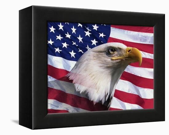 Bald Eagle and American Flag-Joseph Sohm-Framed Premier Image Canvas