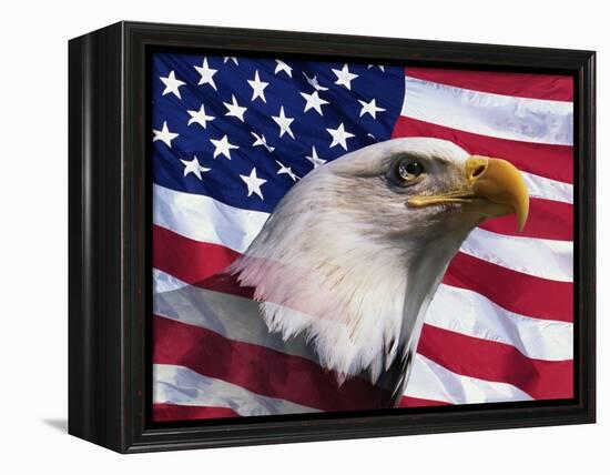 Bald Eagle and American Flag-Joseph Sohm-Framed Premier Image Canvas