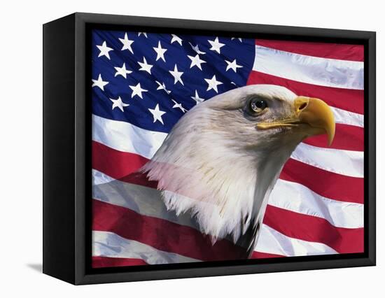 Bald Eagle and American Flag-Joseph Sohm-Framed Premier Image Canvas