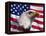 Bald Eagle and American Flag-Joseph Sohm-Framed Premier Image Canvas