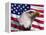 Bald Eagle and American Flag-Joseph Sohm-Framed Premier Image Canvas