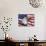 Bald Eagle and American Flag-Joseph Sohm-Photographic Print displayed on a wall