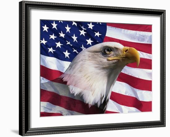 Bald Eagle and American Flag-Joseph Sohm-Framed Photographic Print