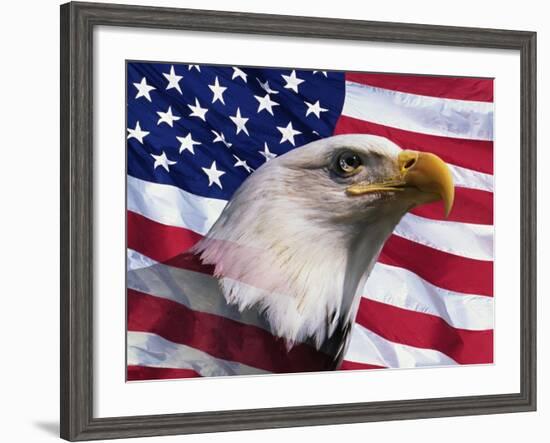 Bald Eagle and American Flag-Joseph Sohm-Framed Photographic Print