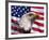 Bald Eagle and American Flag-Joseph Sohm-Framed Photographic Print