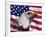 Bald Eagle and American Flag-Joseph Sohm-Framed Photographic Print