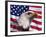 Bald Eagle and American Flag-Joseph Sohm-Framed Photographic Print