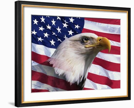 Bald Eagle and American Flag-Joseph Sohm-Framed Photographic Print