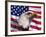 Bald Eagle and American Flag-Joseph Sohm-Framed Photographic Print