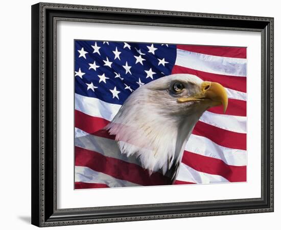 Bald Eagle and American Flag-Joseph Sohm-Framed Photographic Print