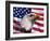 Bald Eagle and American Flag-Joseph Sohm-Framed Photographic Print
