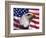 Bald Eagle and American Flag-Joseph Sohm-Framed Photographic Print