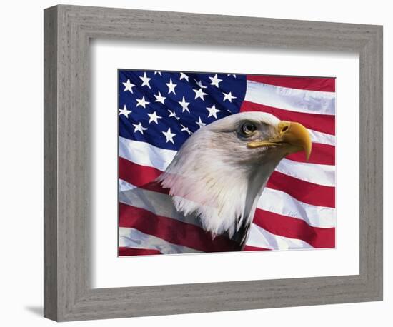 Bald Eagle and American Flag-Joseph Sohm-Framed Photographic Print