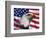Bald Eagle and American Flag-Joseph Sohm-Framed Photographic Print