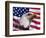 Bald Eagle and American Flag-Joseph Sohm-Framed Photographic Print