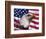 Bald Eagle and American Flag-Joseph Sohm-Framed Photographic Print