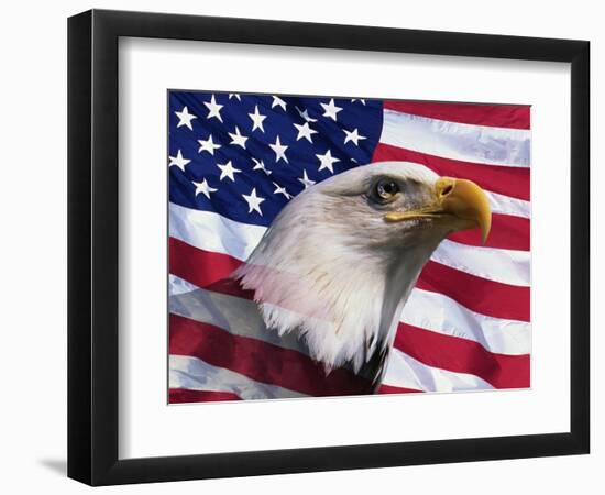 Bald Eagle and American Flag-Joseph Sohm-Framed Photographic Print