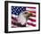 Bald Eagle and American Flag-Joseph Sohm-Framed Photographic Print