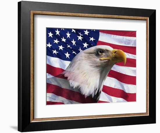 Bald Eagle and American Flag-Joseph Sohm-Framed Photographic Print