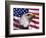 Bald Eagle and American Flag-Joseph Sohm-Framed Photographic Print