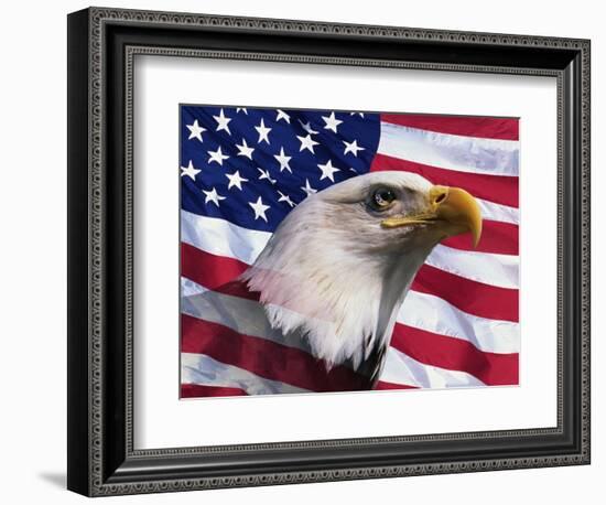 Bald Eagle and American Flag-Joseph Sohm-Framed Photographic Print