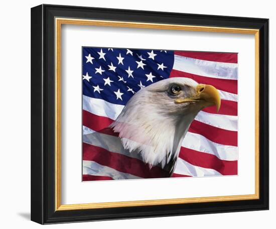 Bald Eagle and American Flag-Joseph Sohm-Framed Photographic Print