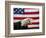 Bald Eagle and American Flag-W. Perry Conway-Framed Photographic Print
