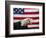 Bald Eagle and American Flag-W. Perry Conway-Framed Photographic Print