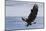 Bald Eagle Attacking-Ken Archer-Mounted Photographic Print