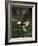 Bald Eagle, British Columbia, Canada-Paul Souders-Framed Photographic Print