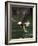 Bald Eagle, British Columbia, Canada-Paul Souders-Framed Photographic Print